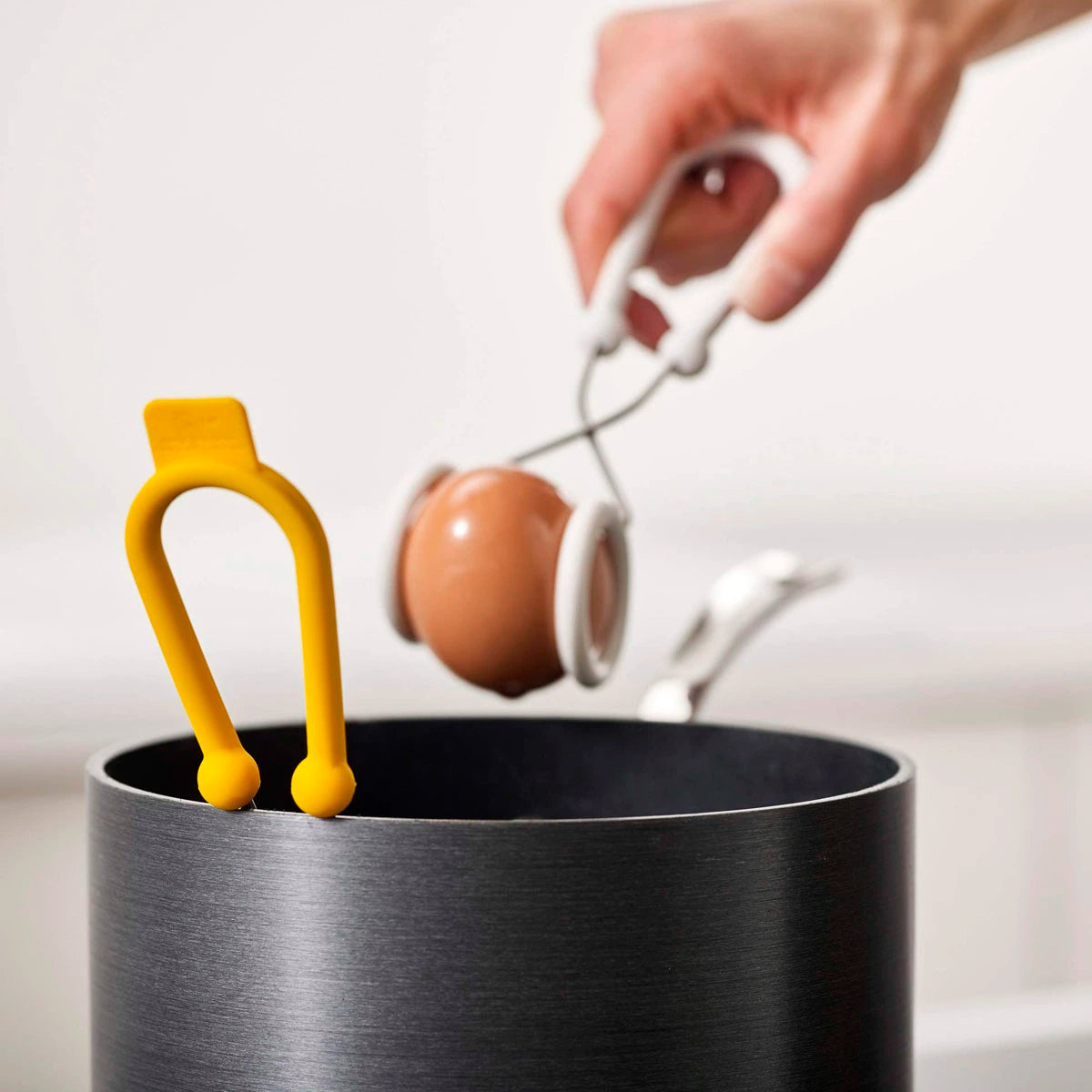 Pinzas para huevos